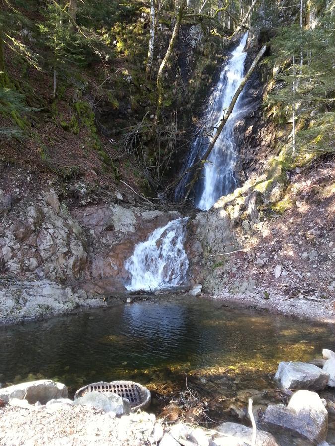 Ranspach Chalet Confort Aloya חדר תמונה